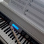 Klaveri individuaaltunnid (foto #1)