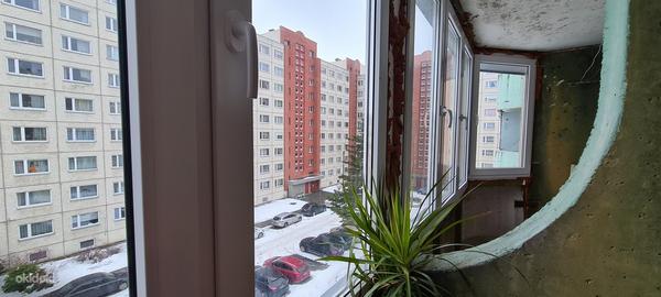 1-toaline korter Tallinnas, Lasnamäel Läänemere (foto #11)
