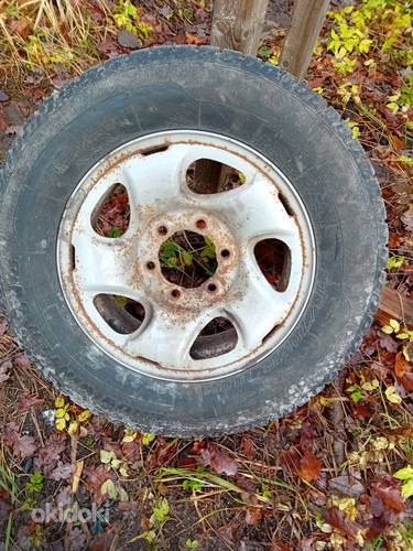 Raudveljed kummiga