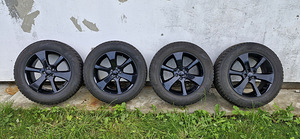 Subaru veljed talverehvidega