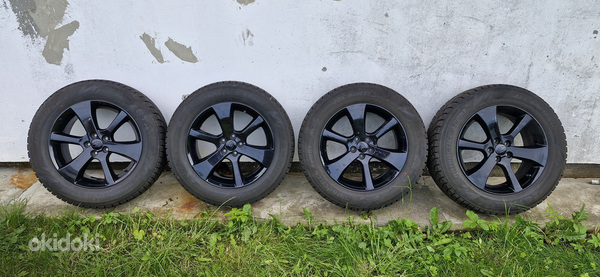 Subaru veljed talverehvidega