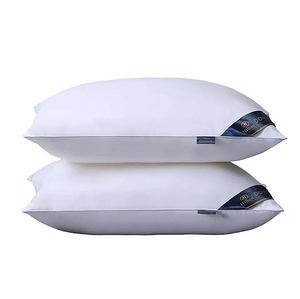 LOT! UUS Linenspa padi, 48x74cm, 2tk, valge (3 foto / 10)