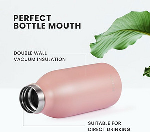 LOT! Autsel roostevabast terasest 350 ml joogipudel (2 foto / 7)