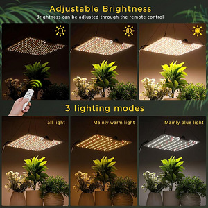 LOT! UUS Bosytro LED lamp taimedele (2 foto / 9)