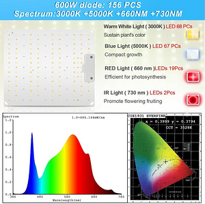 LOT! UUS Vayalt 001 LED taimelamp (2 foto / 5)
