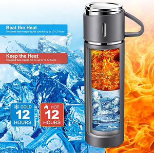 LOT! Termos Topahgod 500 ml, tassi ja käepidemega roosa (3 foto / 6)