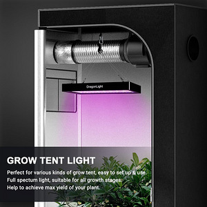 LOT! DragonLight BW1000 taimelamp LED (4 foto / 10)