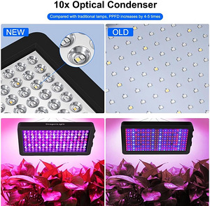 LOT! DragonLight BW1000 taimelamp LED (6 foto / 10)