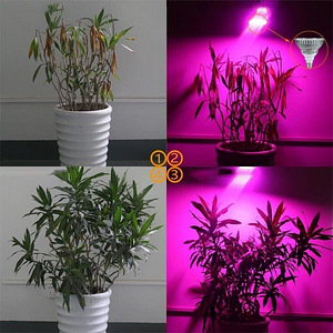 LOT! UUS LED taimelamp Sansi E563, 200 led 24W (4 foto / 9)