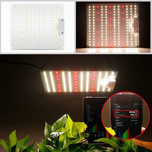 LOT! UUS Lamp taimedele Vayalt 001 LED taimelamp 50W (2 foto / 3)