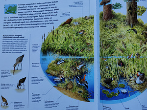 Loomaelu atlas (3 foto / 3)