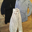 Одежда для беременных s XS (фото #1)