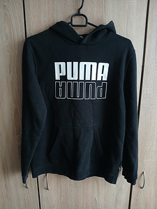 Poiste PUMA komplekt 146/152