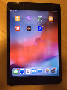iPad Mini 2; 16 GB; Cellular; WiFi; silver; A1490