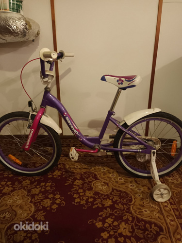 Детский велосипед 20 (фото #1)