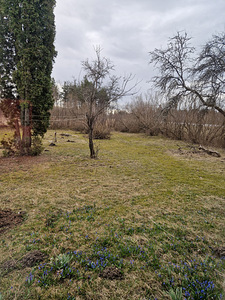Sirle, Lestima, Märjamaa vald, Raplamaa (7 фото из 7)