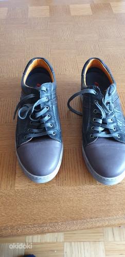 Мужские туфли, размер 43 (фото #1)