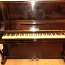 Müüa häälestatud klaver Smolensk. Paku oma hinda (foto #2)
