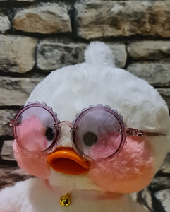 Päikeseprillid Duck LaLafanfanile või lapsele (6 foto / 8)