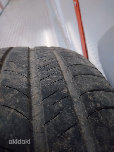 Летние шины Michelin