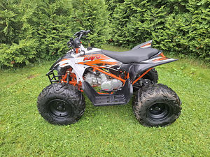 Kayo 110 atv/quad (8 foto / 8)