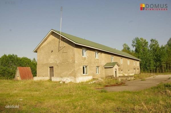 Jõgeva maakond, Mustvee vald, Kasepää küla, Omedu (фото #3)
