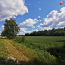 Pärnu maakond, Tori vald, Kõrsa küla (foto #1)