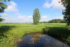 Tolli, Lilli, Mulgi vald, Viljandimaa (10 foto / 10)