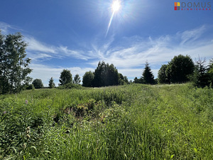 Härma tn 6, Soinaste, Kambja vald, Tartumaa (5 foto / 7)