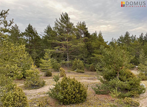 Vete, Rootsiküla, Kihnu vald, Pärnumaa (2 foto / 5)