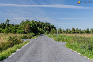 Lõuna tn 1, Seljametsa, Pärnu linn, Pärnumaa (8 foto / 10)