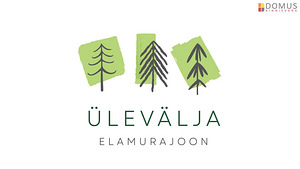Päikese tn 4, Seljametsa, Pärnu linn, Pärnumaa (9 foto / 10)