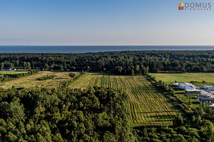 Elu tee 4, Papsaare, Pärnu linn, Pärnumaa (4 foto / 10)