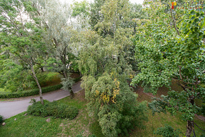 Randla tn 8, Põhja-Tallinna, Tallinn, Harjumaa (6 foto / 10)