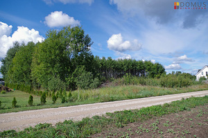 Lodjapuu, Ridaküla, Elva vald, Tartumaa (2 foto / 10)