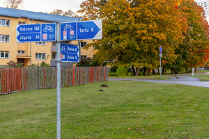 Kõrvekaare tn 1, Kõrveküla, Tartu vald, Tartumaa (1 foto / 10)