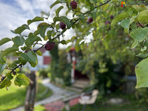 Mündi tn 4, Siivertsi, Narva, Ida-Virumaa (4 foto / 10)