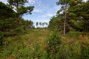 Saare maakond, Saaremaa vald, Sääre küla, VIIS VIIMAST! Suurevare / Loopsu. (10 foto / 10)