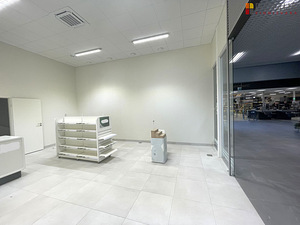 Instituudi tee 132, Alliku, Saue vald, Harjumaa (4 foto / 7)