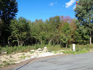 Suve tee 34, Aila, Saue vald, Harjumaa (1 foto / 10)