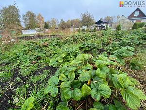 Sinilille tn 10, Kudruküla, Narva, Ida-Virumaa (9 foto / 10)