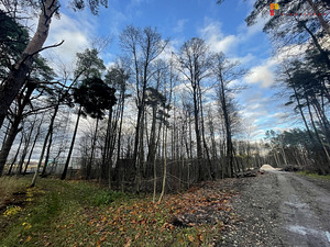 Meremetsa tee 50, Papsaare, Pärnu linn, Pärnumaa (2 foto / 7)