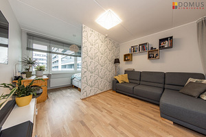 Liikuri tn 7, Lasnamäe, Tallinn, Harjumaa (4 foto / 10)