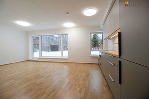 Hane tn 4, Kristiine, Tallinn, Harjumaa (1 foto / 10)