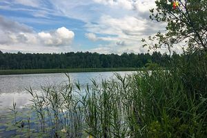 Tartu maakond, Nõo vald, Kolga küla (3 foto / 6)