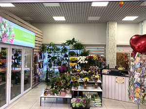 Põhja pst 17, Põhja-Tallinna, Tallinn, Harjumaa (2 фото из 8)