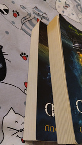 Jonathan Stroud " Kisendav trepp "" Sosistav kolp" (4 foto / 9)