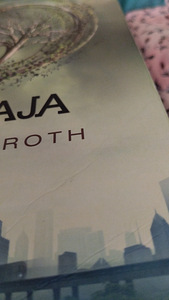 Veronica Roth Lahkulööja ja Mässaja. (10 foto / 10)