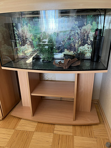 Akvaarium Akvaarium 200L (3 foto / 5)