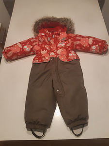 Talvekombekas (1 foto / 3)